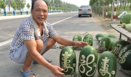 网络吃瓜爆料 蘑菇视频在线,蘑菇视频最新爆料，揭秘幕后真相！